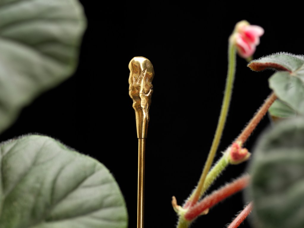 THE ORGANIC FLOWER STICK