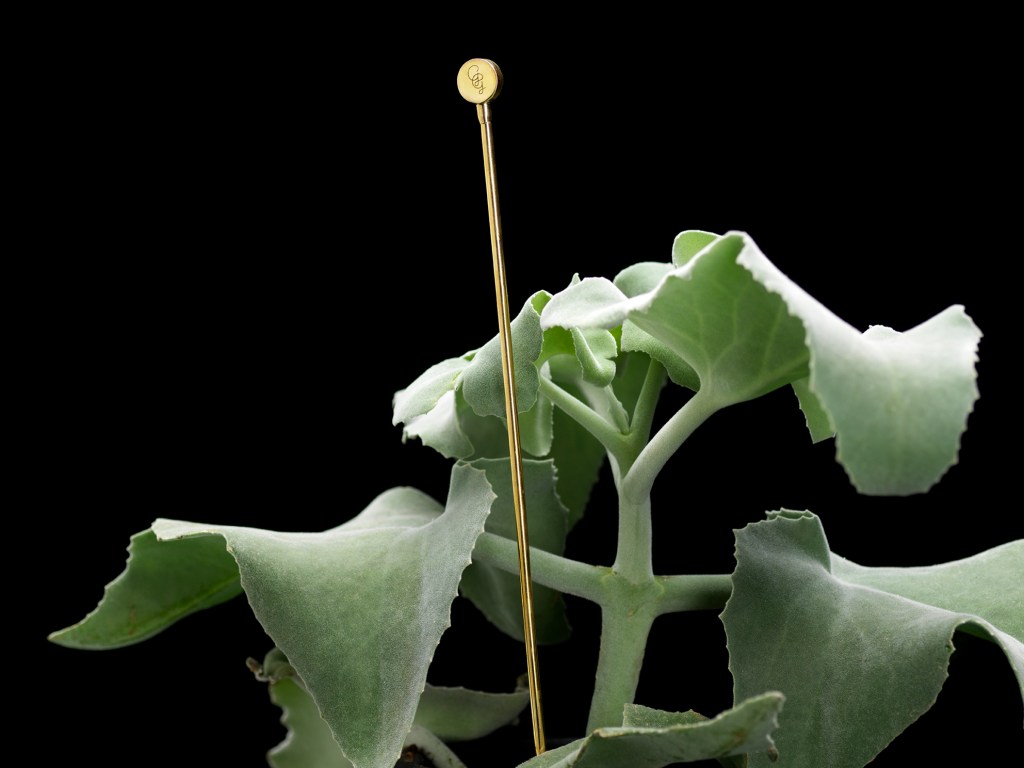 THE GG BUTTON FLOWER STICK